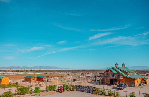 Willcox Other | The Wine Dome