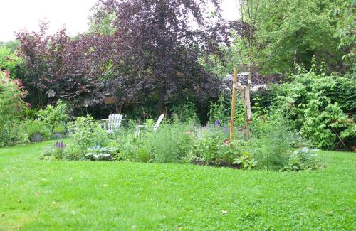 Wijckel Bed & Breakfast | Theetuin en B & B 'De Theetuin'