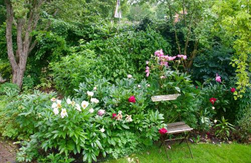 Wijckel Bed & Breakfast | Theetuin en B & B 'De Theetuin'