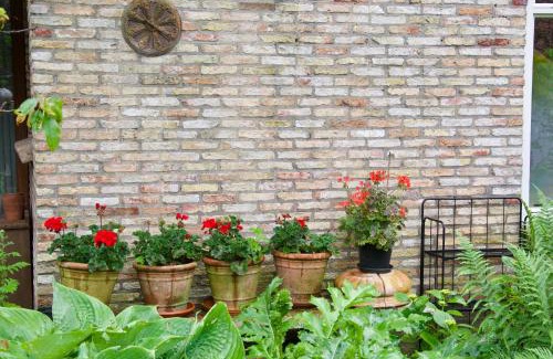 Wijckel Bed & Breakfast | Theetuin en B & B 'De Theetuin'