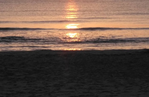 Sueca Villa | THIS WEBSITE SUCKS, IT WON'T LET ME UNSUBSCRIBE MY ADVERT