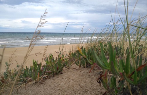 Sueca Villa | THIS WEBSITE SUCKS, IT WON'T LET ME UNSUBSCRIBE MY ADVERT