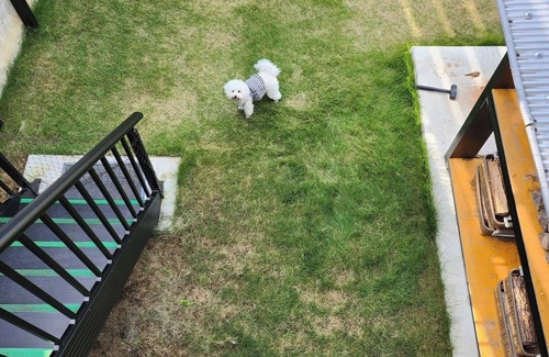 Shikokuchuo RV Rental | Three small and mediumsized dogs allowed Traile/Shikokuchuo City Ehime