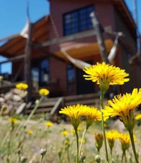 Romeral Cabin | Tierras Bayas Mountain Refuge