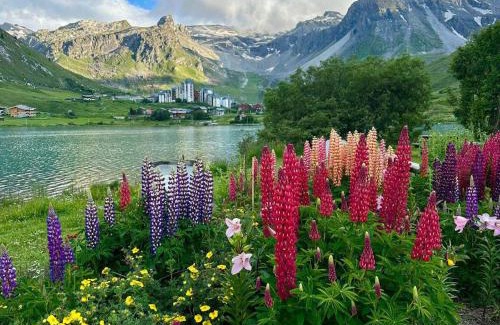 Val Claret Apartment | Tignes Val-Claret, Apt 2P Cabine 33m², 6 pers, Balcon - FR-1-449-193