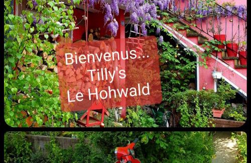 Le Hohwald House | Tilly's B&B and apartment house