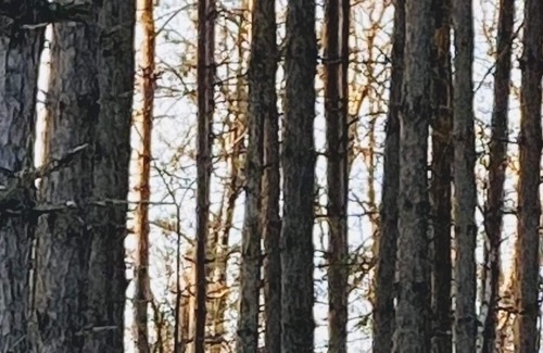 Winter Cabin | Time to make reservations for your summer vacation on Hunter Lake!!