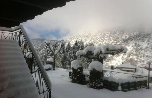 Tsepelovo House | Timfea Chalet