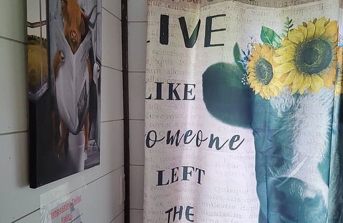 Mora Cabin | Tiny barn in the woods at Knife Lake Getaway