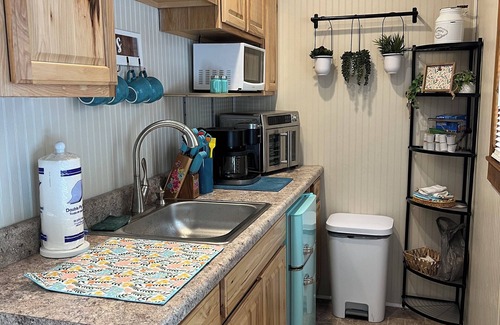 Marion Cabin | Tiny Cabin in the Laurels, with queen bed & queen sofa bed in wooded setting.