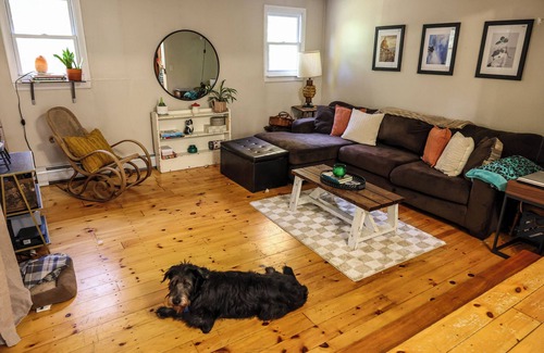 Old Town House | Tiny Home, Big Character. Close to Town, Lake, and Trails! Pet-Friendly!