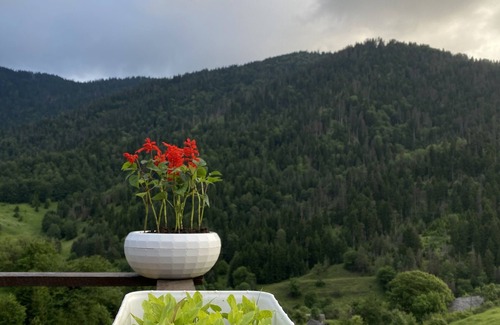 Likani Cottage | Tiny home in magical mountains