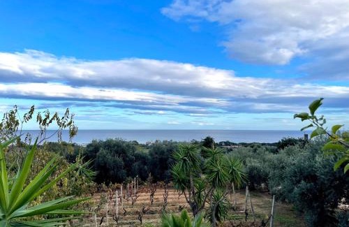 Torre di Bari House | Tiny House Bellavista