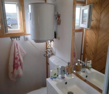 Apahida House | Tiny House Dezmir