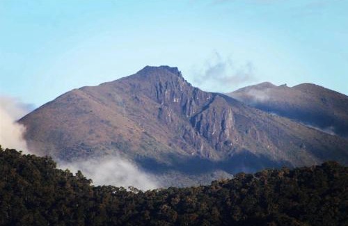 Rivas Other | Tiny House Jaulares