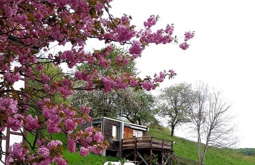 Iba Apartment | Tiny House mit Klima und Heizung, in idyllischer Ortsrandlage