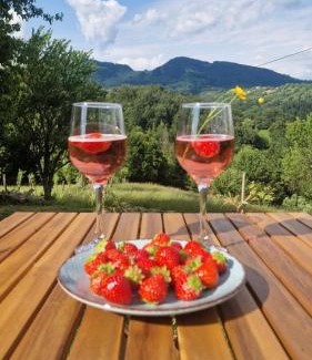 Moieciu House | Tiny House