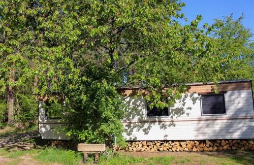 Cottbus House | Tinyhaus2 idyllisch am Waldesrand