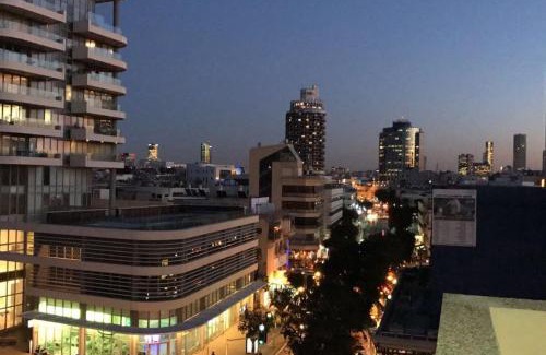 Tel Aviv City Center Apartment | TLV Penthouse With bomb shelter, Hottub and OutDoor Kitchen