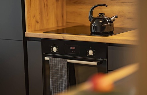 Woerth Apartment | Top 6 - Studio - Riverside Rauris