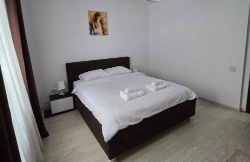 Sector 4 Apartment | Top House Berceni