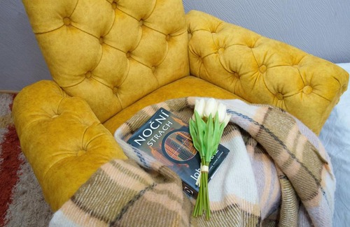Ternopil Apartment | TOPILCHE APARTMENT