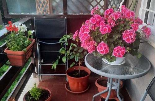 Quartiere XXIV Don Bosco Apartment | Tourist Accommodation Rome, Cinecittà