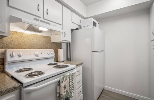 Bellaire Apartment | Towne Plaza Apartments #111 in the Galleria Area