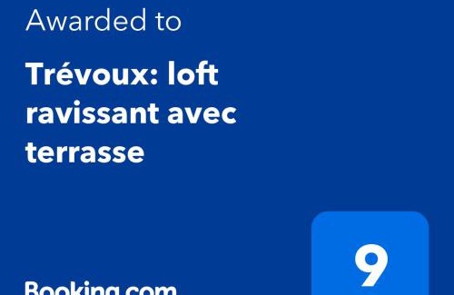 Trevoux Apartment | Trévoux: loft ravissant avec terrasse