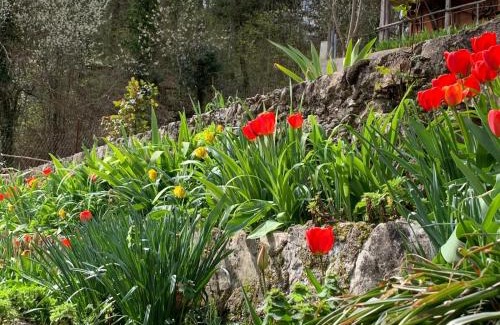 Rieti Bed & Breakfast | Tra Fiori e Antichità