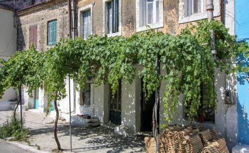 Notos Apartment | Traditional Corfiot House