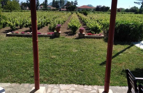 Zakynthos Cottage | Traditional Country House for 5 in Zakynthos