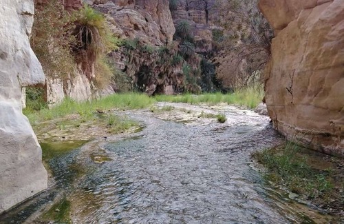Al-Mughayer House | trajan guesthouse is an old castel bilt on the top of wadi mujib