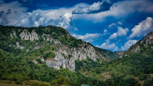 Balsa Cabin | Transylvania Undiscovered
