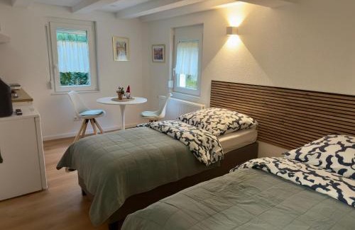 Aldingen Apartment | Traumhaft modernes Zimmer mit Doppelbett,Gemeinschaftsbad und WC in 78554 Aldingen