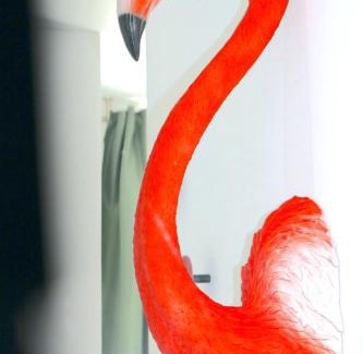 Gmunden Apartment | Traunseeresidenzen