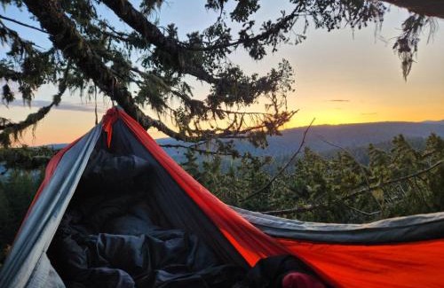 West Stayton Bed & Breakfast | Tree Climbing at Silver Falls