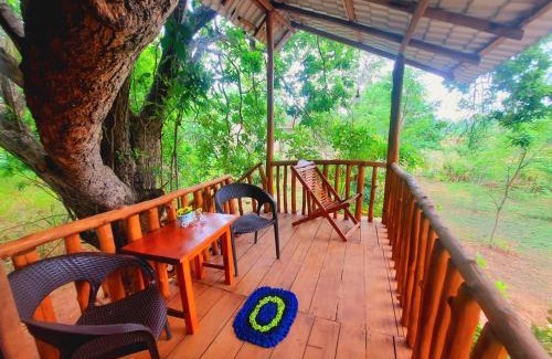 Sevanagala Hotel | Tree House 4 Nature Lovers
