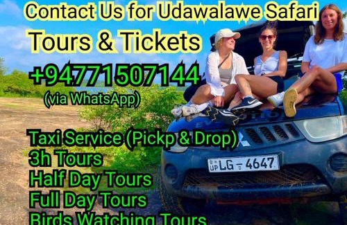 Sevanagala Hotel | Tree House 4 Nature Lovers