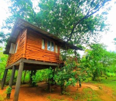 Sevanagala Hotel | Tree House 4 Nature Lovers