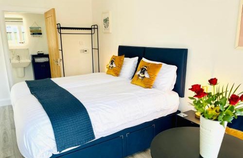 Ballycastle Cabin | Tree View Studio