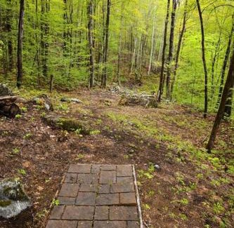 Stoneham House | Treehouse in Maine woods- The Grand Oak