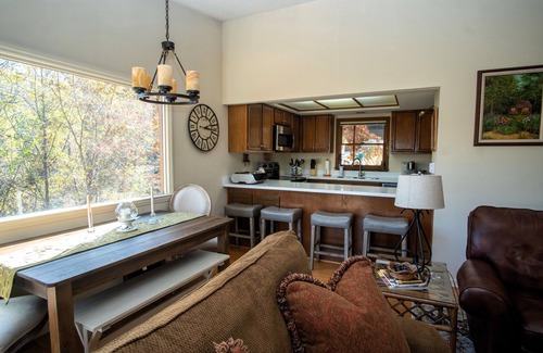 Lake Lure Condo | Treehouse serenity, access to RB Resort amenities, Dog friendly.