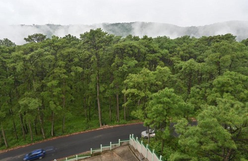 Shillong Hotel | TreeTops Residency