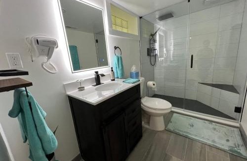 Tremont Apartment | Trendy in Tremont, CLE (Lower)
