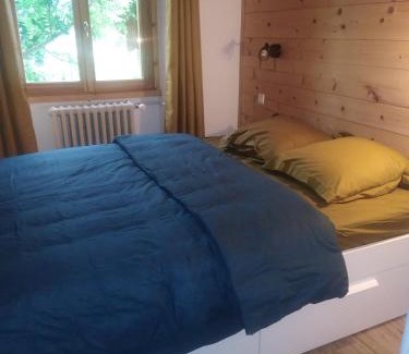 Seez Apartment | Tres bel appartement dans une maison avec SPA