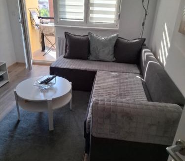 Banja Koviljaca Apartment | Tri Palme 2