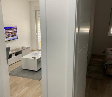 Banja Koviljaca Apartment | Tri Palme 2