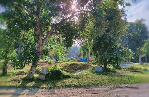 Baan Tai House | Tripovali guest 2