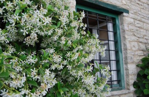 Zagorohoria House | Tritoxo Guesthouse